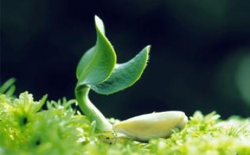 Chờ lời cảm ơn